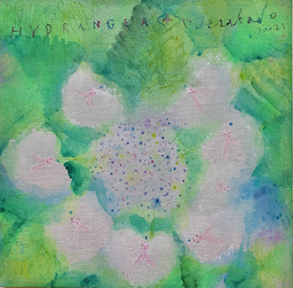 Hydrangea