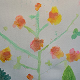 FAMILY ROSES